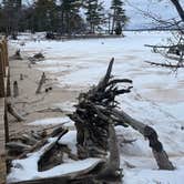 Review photo of Cedar Campground — Ludington State Park by Kathie M., February 26, 2026