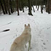 Review photo of Cedar Campground — Ludington State Park by Kathie M., February 26, 2026