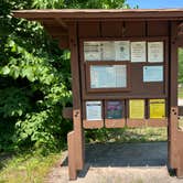 Review photo of Maple Bay State Forest Campground by Meghan B., July 15, 2026