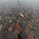 Review photo of Marquette Tourist Park Campground by Greg S., June 12, 2025