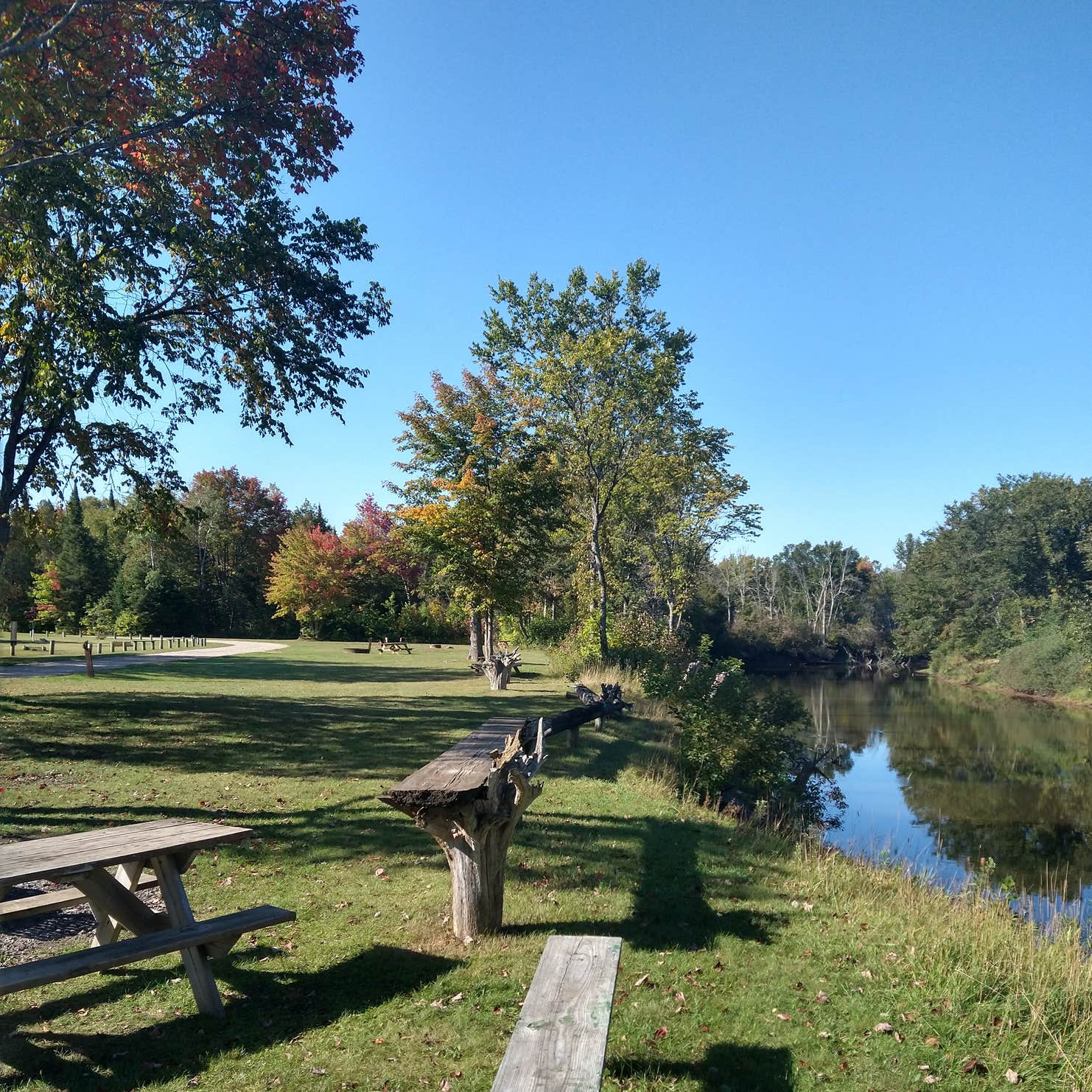 Merwin Creek State Forest Campground | Gulliver, MI