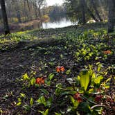 Review photo of Merwin Creek State Forest Campground by Tiffany V., May 26, 2026