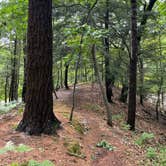 Review photo of Lake Michigan Campground at Muskegon State Park Campground by Kyla T., June 27, 2024