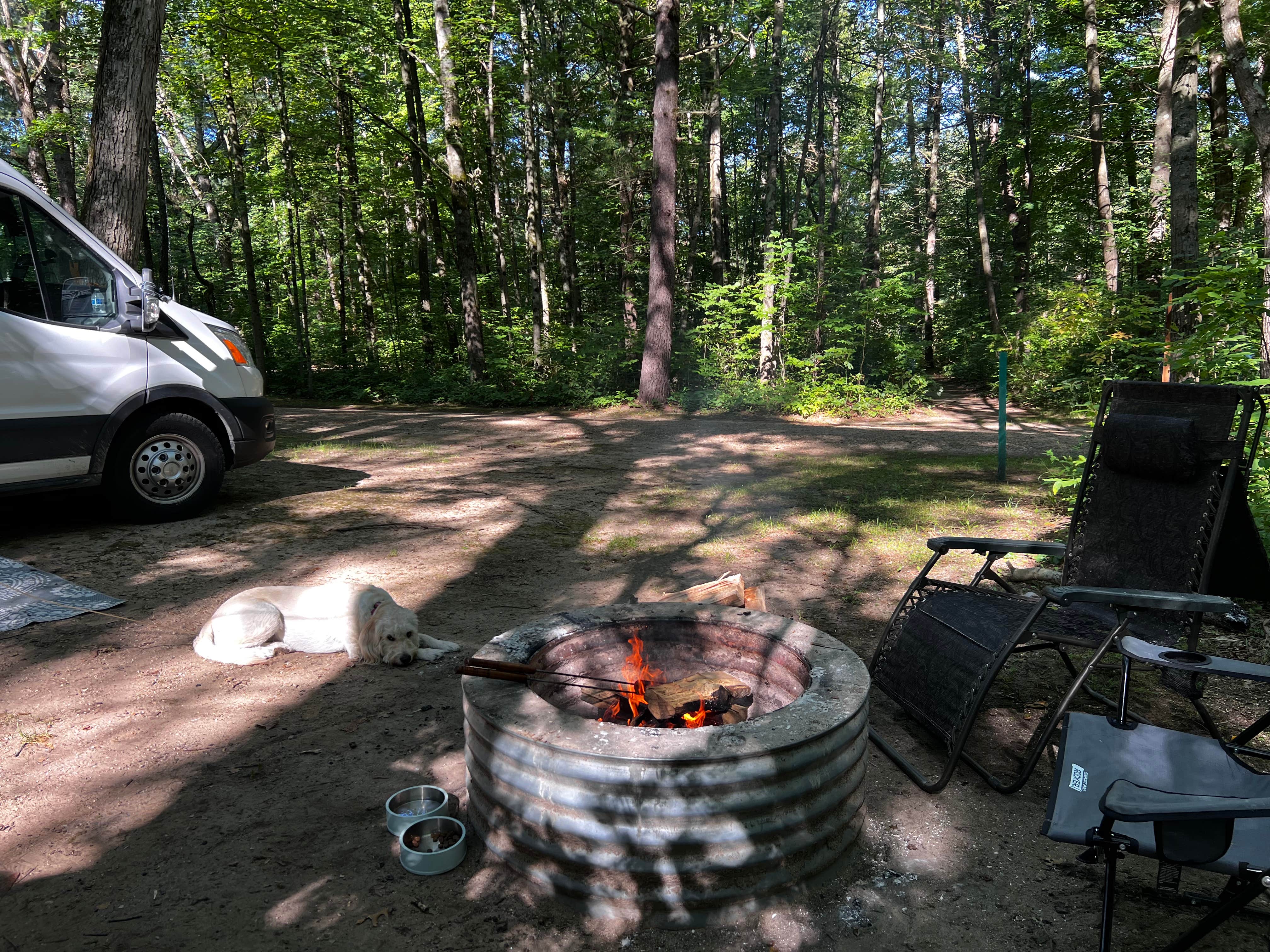 Marie S.'s photo of camping with pets at Newaygo State Park Campground near Rockford, MI