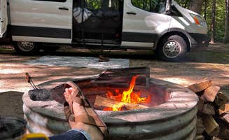 Marie S.'s photo of rv camping at Newaygo State Park Campground near Stanton, MI