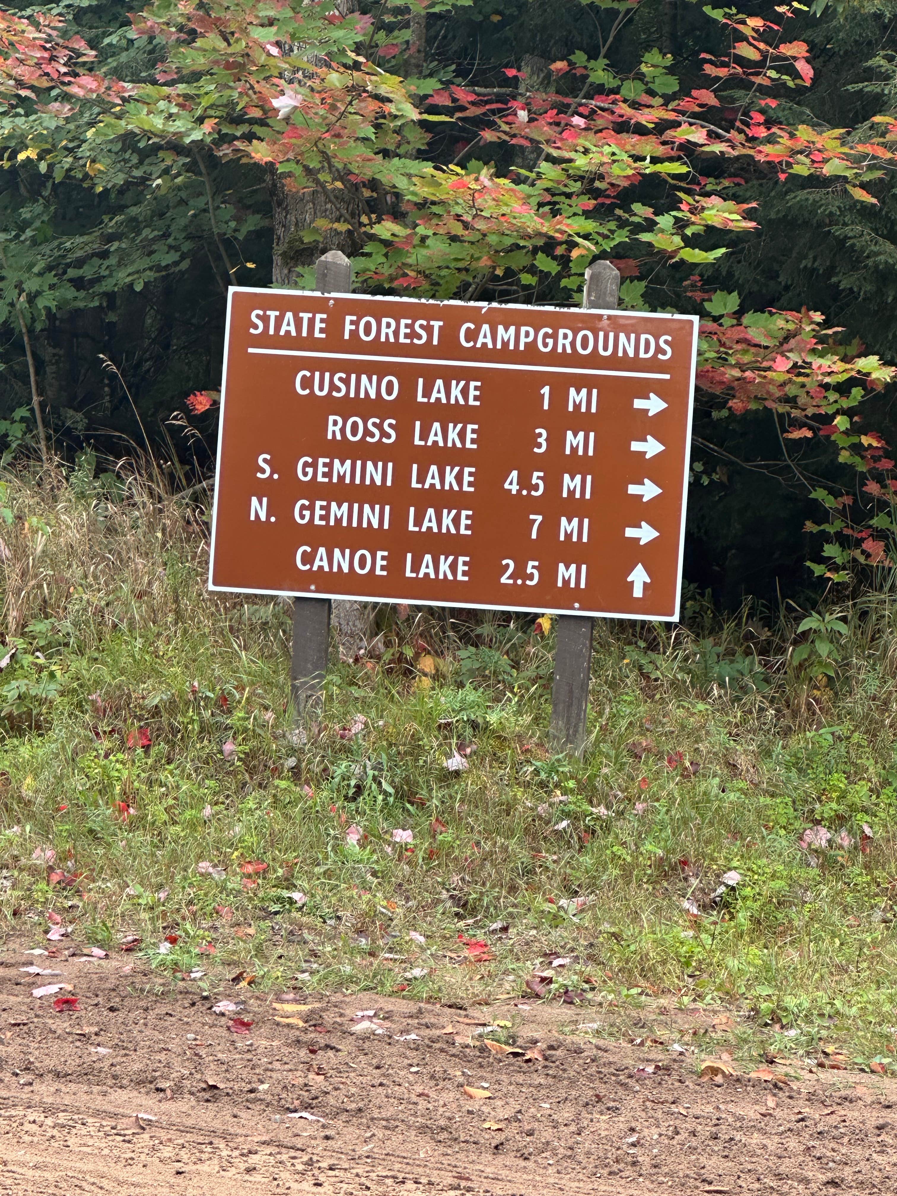 Camper submitted image from South Gemini Lake State Forest Campground - 4