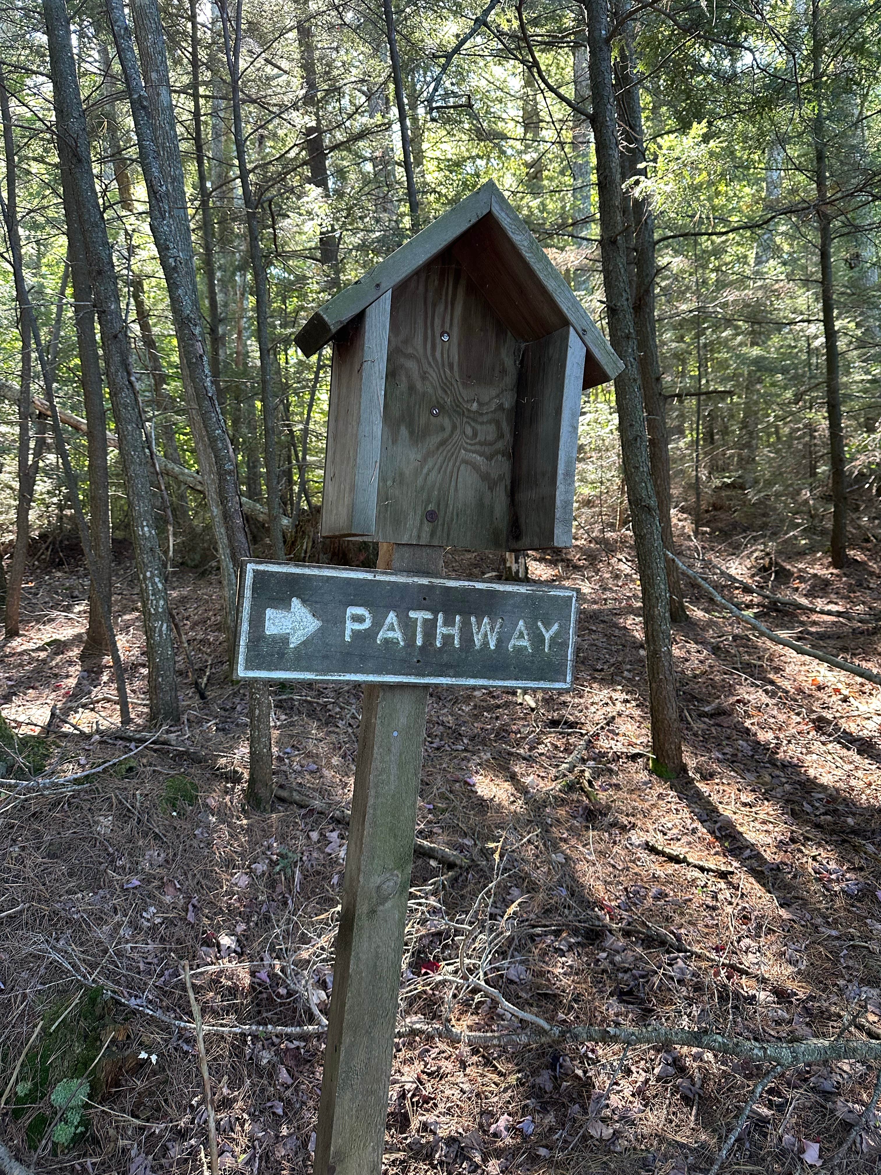 mike K.'s photo of glamping accommodations at South Gemini Lake State Forest Campground near Nahma, MI