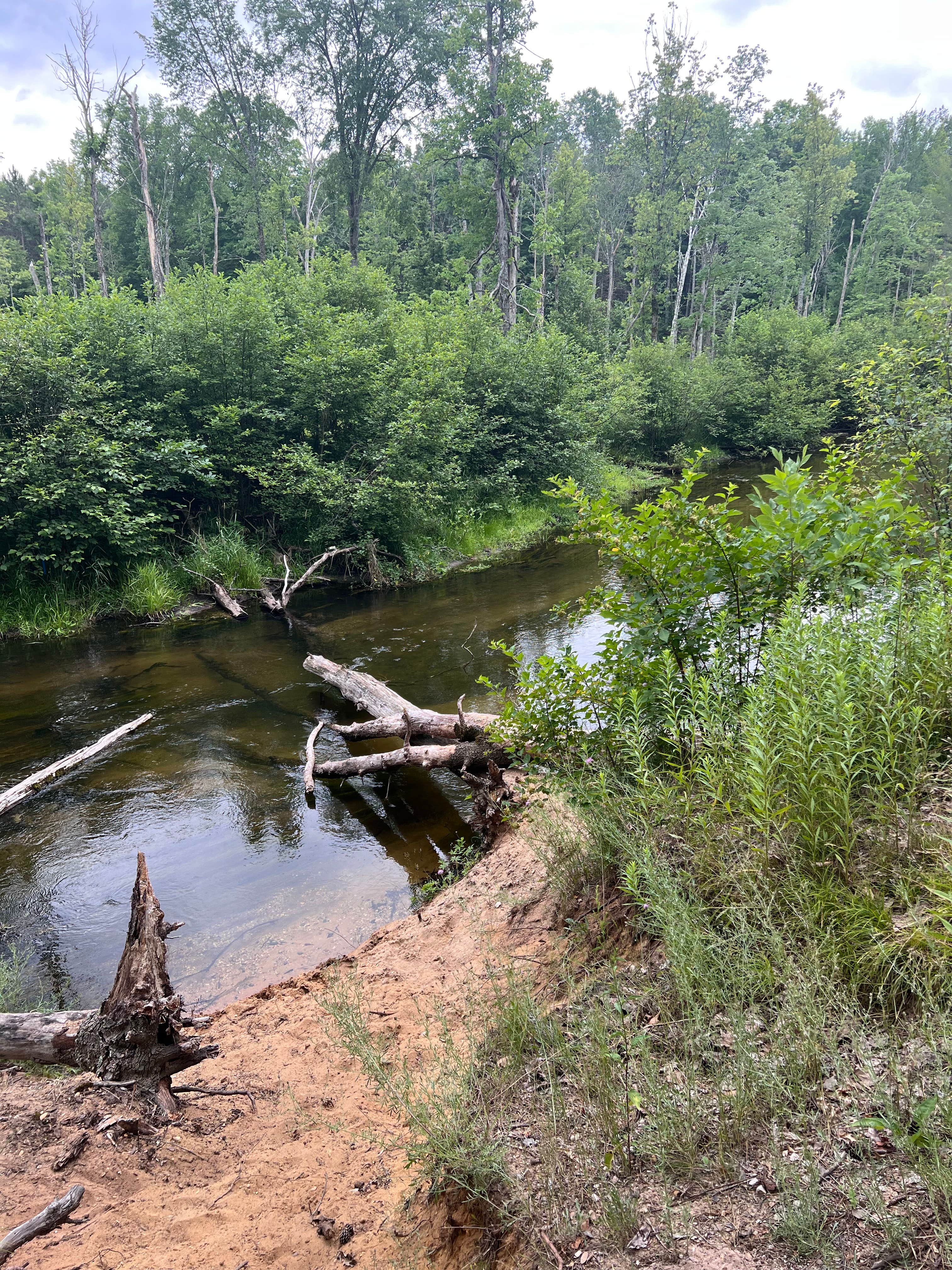 Camping near Leisuretime Campground: Old Grade Campground, Luther, Michigan