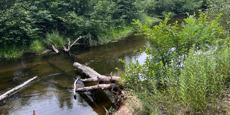 Camper submitted image from Old Grade Campground