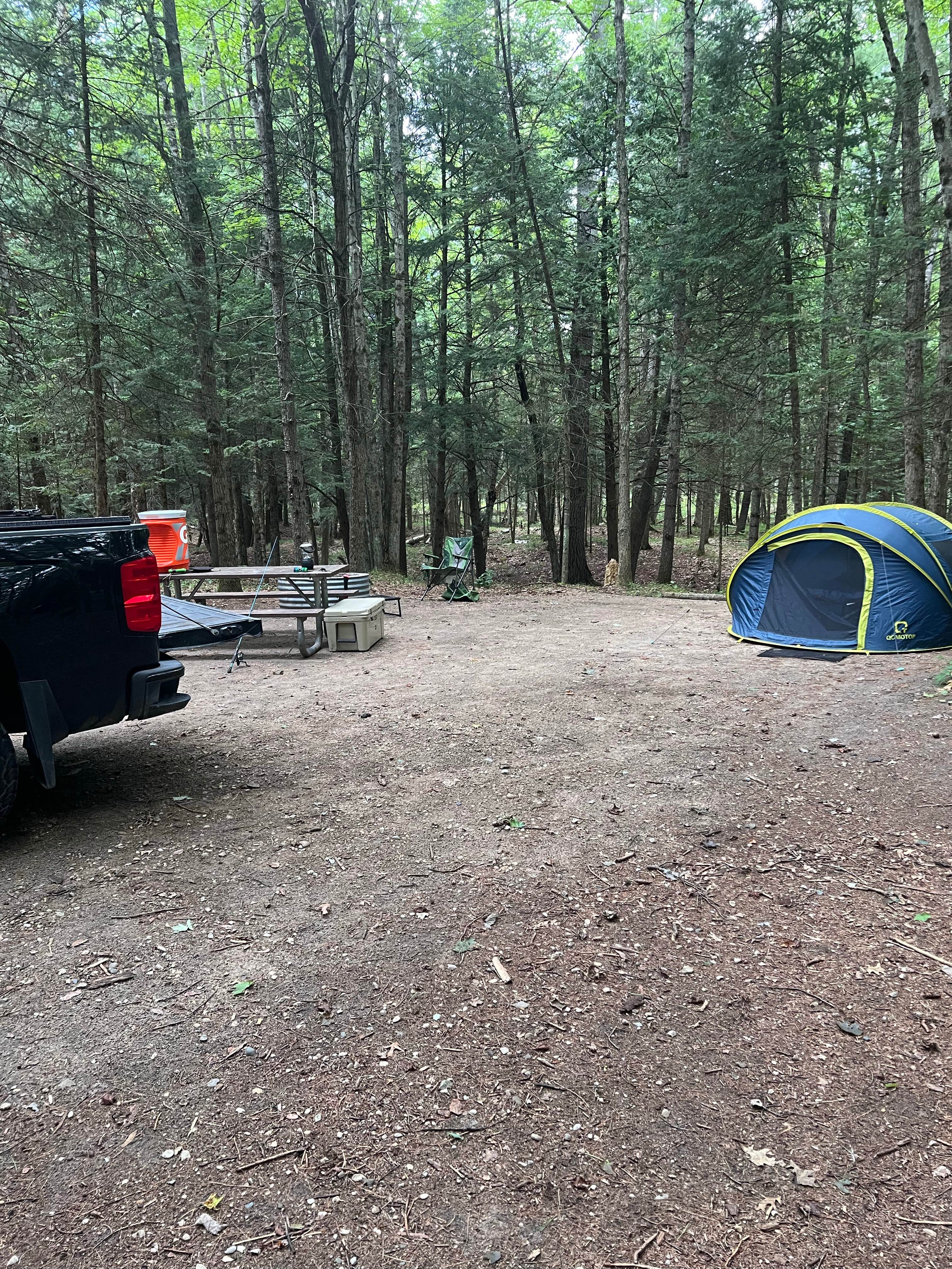 Camper submitted image from Old US-131 State Forest Campground - 1