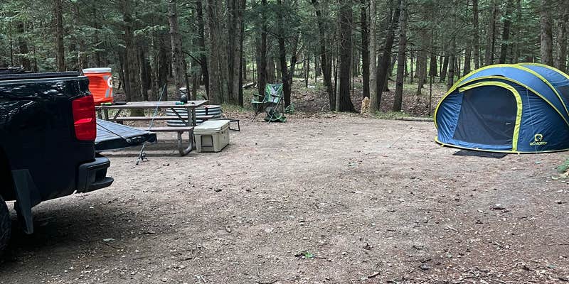Camper submitted image from Old US-131 State Forest Campground