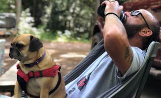 Susan H.'s photo of camping with pets at Ontonagon Township Park Campground near L'Anse, MI