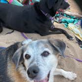 Review photo of Ontonagon Township Park Campground by Kay K., August 24, 2025