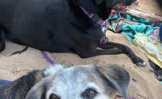 Kay K.'s photo of camping with pets at Ontonagon Township Park Campground near White Pine, MI