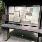 Review photo of Ossineke State Forest Campground by Meghan B., September 13, 2026
