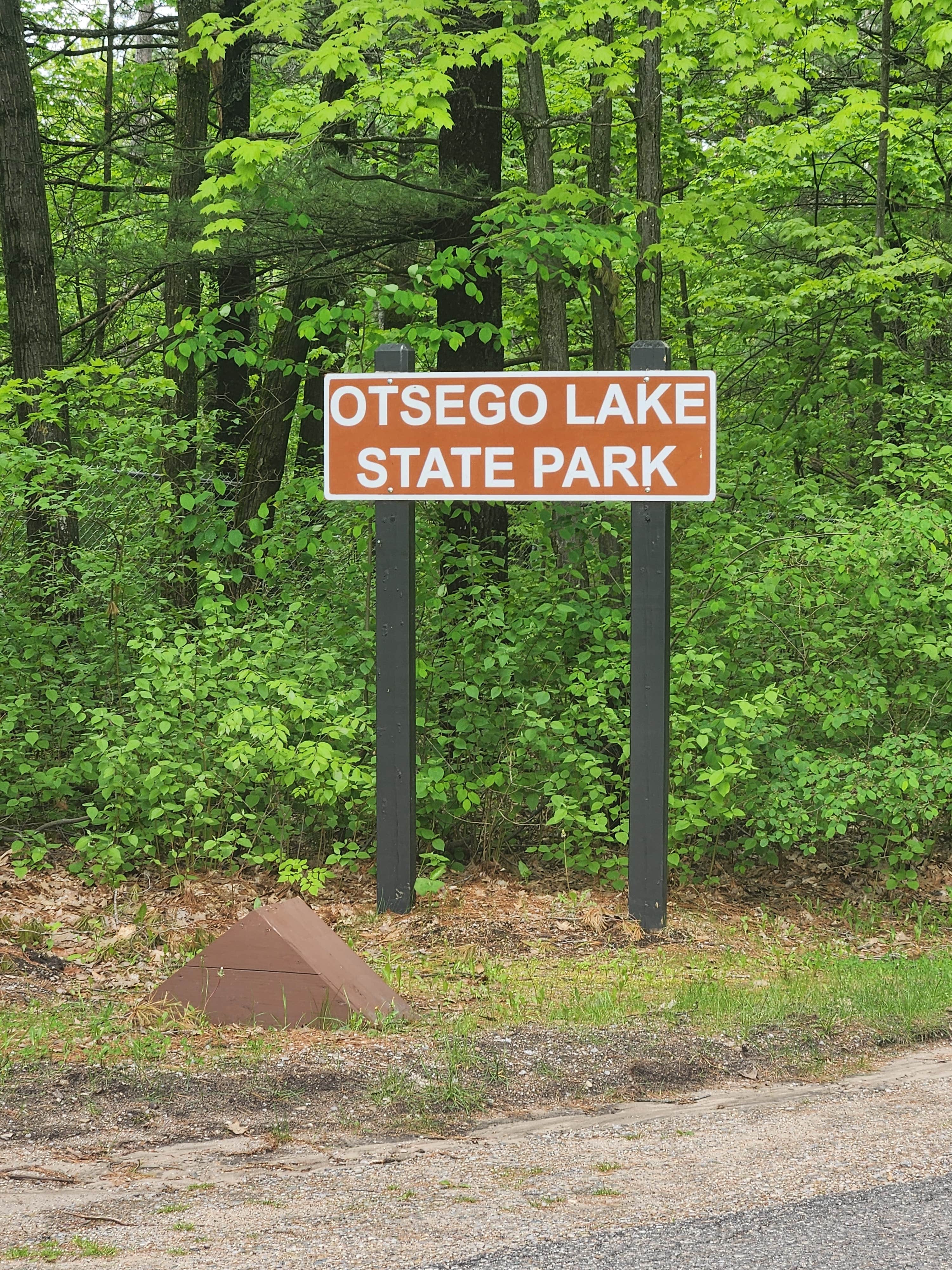 Camper submitted image from Otsego Lake County Park - 3