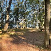 Review photo of Otsego Lake State Park Campground by roy H., September 8, 2024