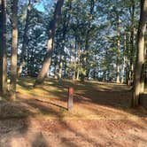 Review photo of Otsego Lake State Park Campground by roy H., September 8, 2024