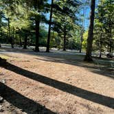 Review photo of Otsego Lake State Park Campground by roy H., September 8, 2024