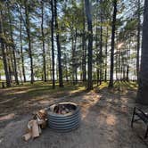 Review photo of Otsego Lake State Park Campground by Ryan R., July 6, 2026