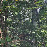 Review photo of Hoffmaster State Park Campground by Whitney A., September 3, 2025