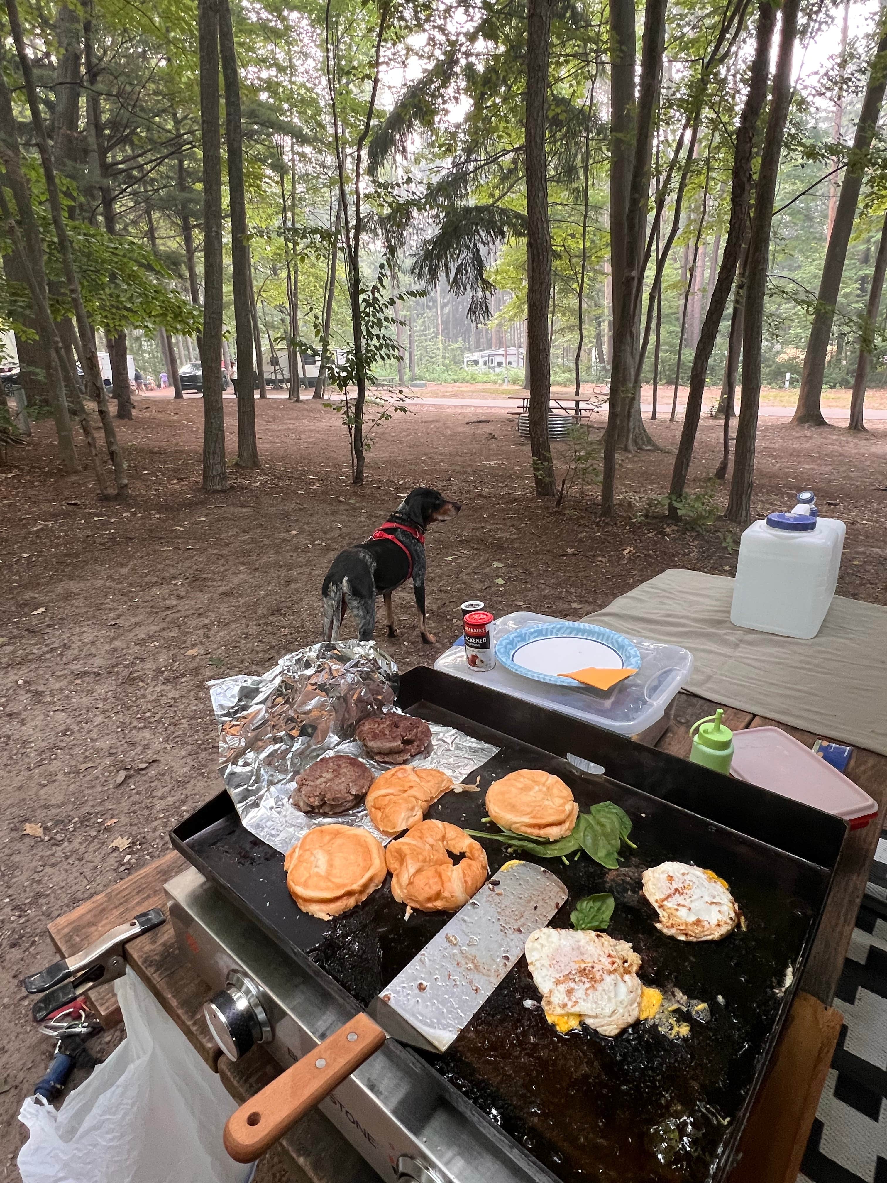 Gerard E.'s photo of camping with pets at Hoffmaster State Park Campground near Newaygo, MI