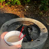 Review photo of Hoffmaster State Park Campground by Whitney A., September 3, 2025