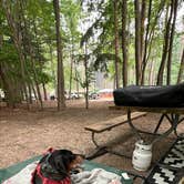 Review photo of Hoffmaster State Park Campground by Gerard E., July 20, 2026