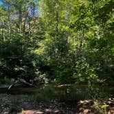 Review photo of Hoffmaster State Park Campground by Whitney A., September 3, 2025