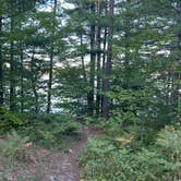 Review photo of Perch Lake State Forest Campground by Gayle B., September 17, 2026