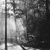 Review photo of Petoskey State Park Campground by Drew M., July 16, 2024