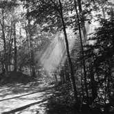 Review photo of Petoskey State Park Campground by Drew M., July 16, 2024