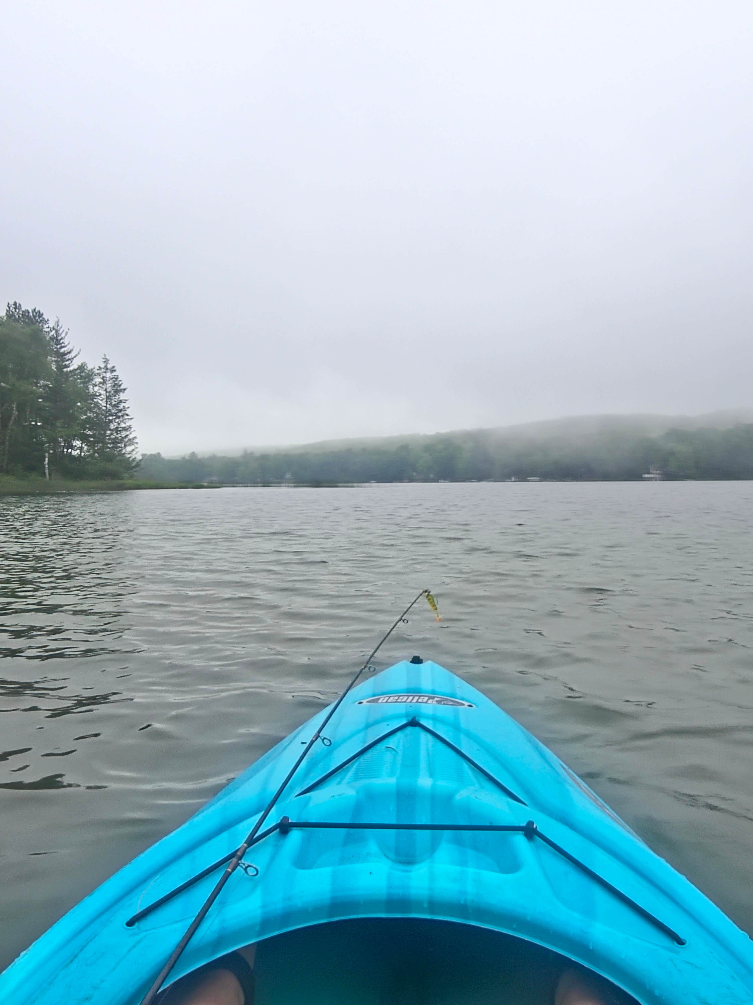 Camper-submitted photo at Pickerel Lake (Kalkaska) State Forest Campground near Mancelona, MI