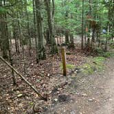 Review photo of Hurricane River Campground — Pictured Rocks National Lakeshore by Roger W., October 7, 2023