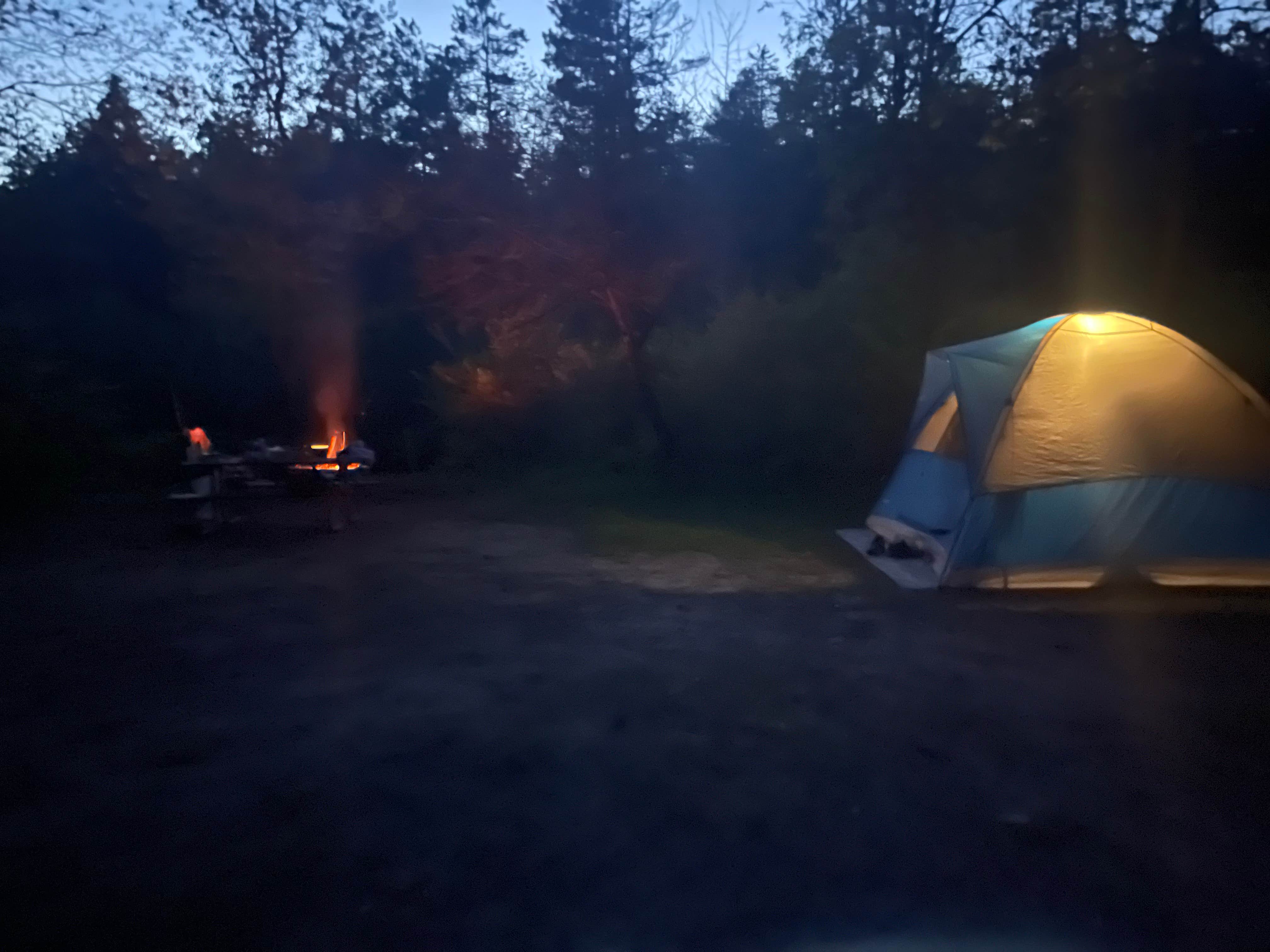 Camper submitted image from Pigeon Bridge State Forest Campground - 1