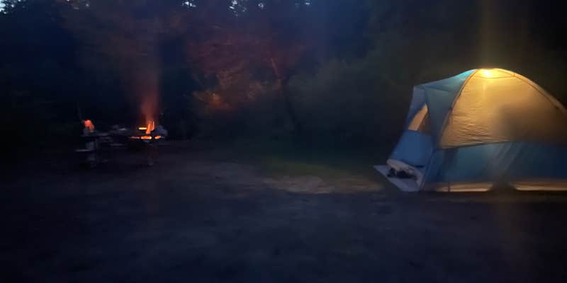 Camper submitted image from Pigeon Bridge State Forest Campground