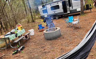 Lydia T.'s photo of rv camping at Pigeon River State Forest Campground near Vanderbilt, MI