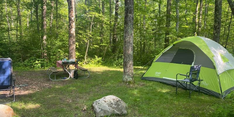 Camper submitted image from Pine River Campground