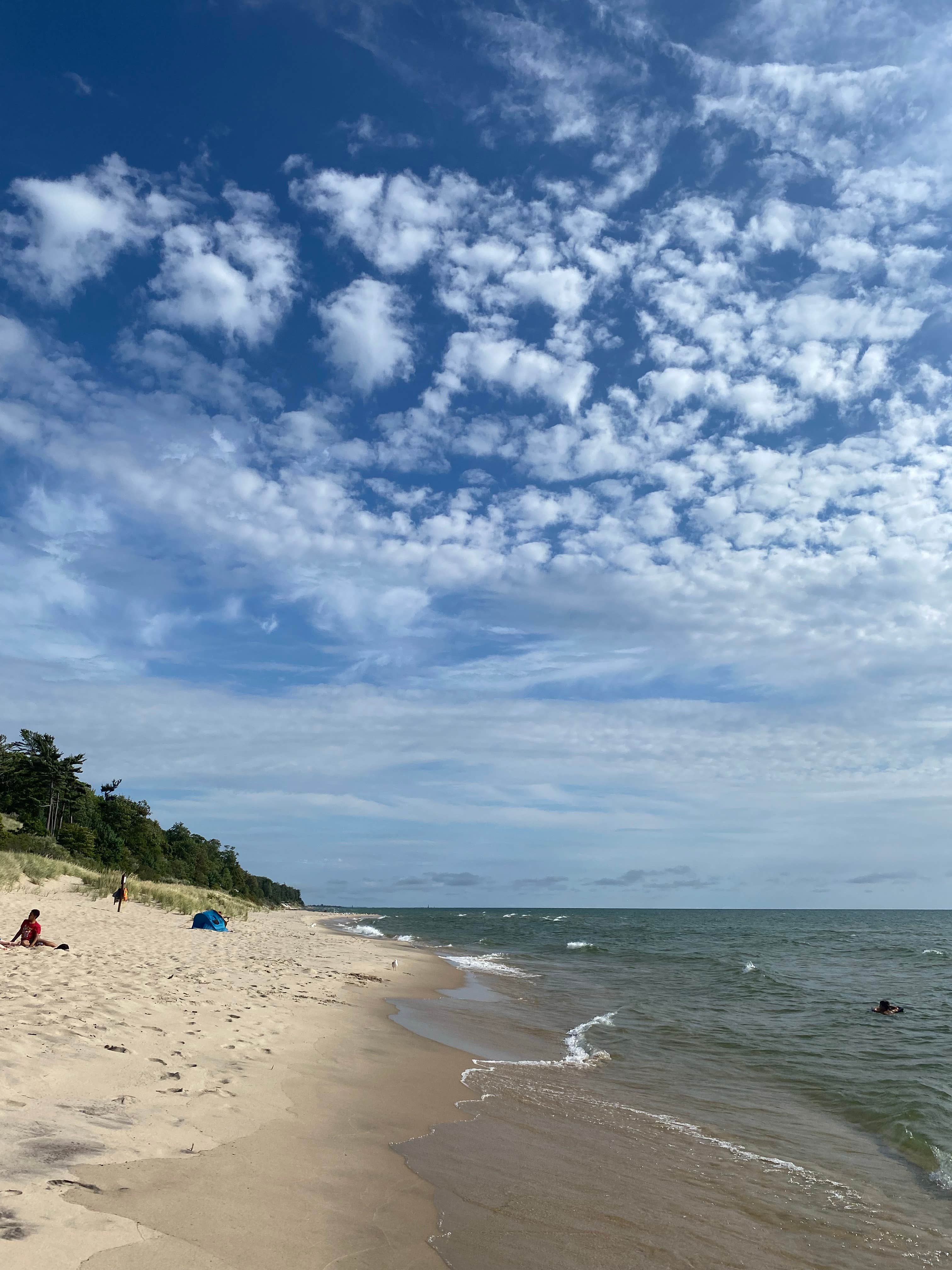 Camper-submitted photo at Muskegon County Pioneer County Park near Twin Lake, MI
