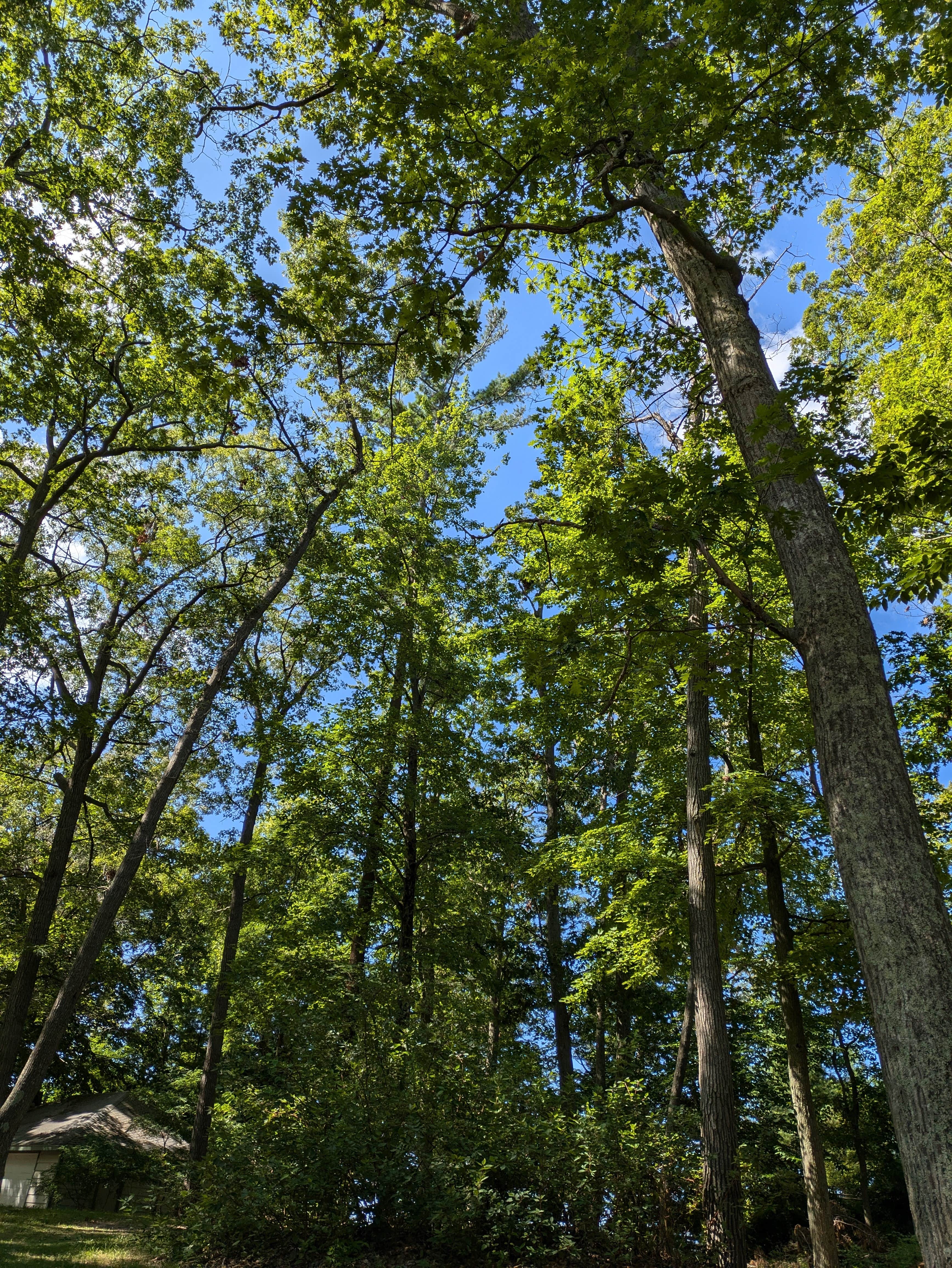 Camper-submitted photo at Muskegon County Pioneer County Park near Twin Lake, MI