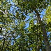 Review photo of Muskegon County Pioneer County Park by Wendy F., August 22, 2024