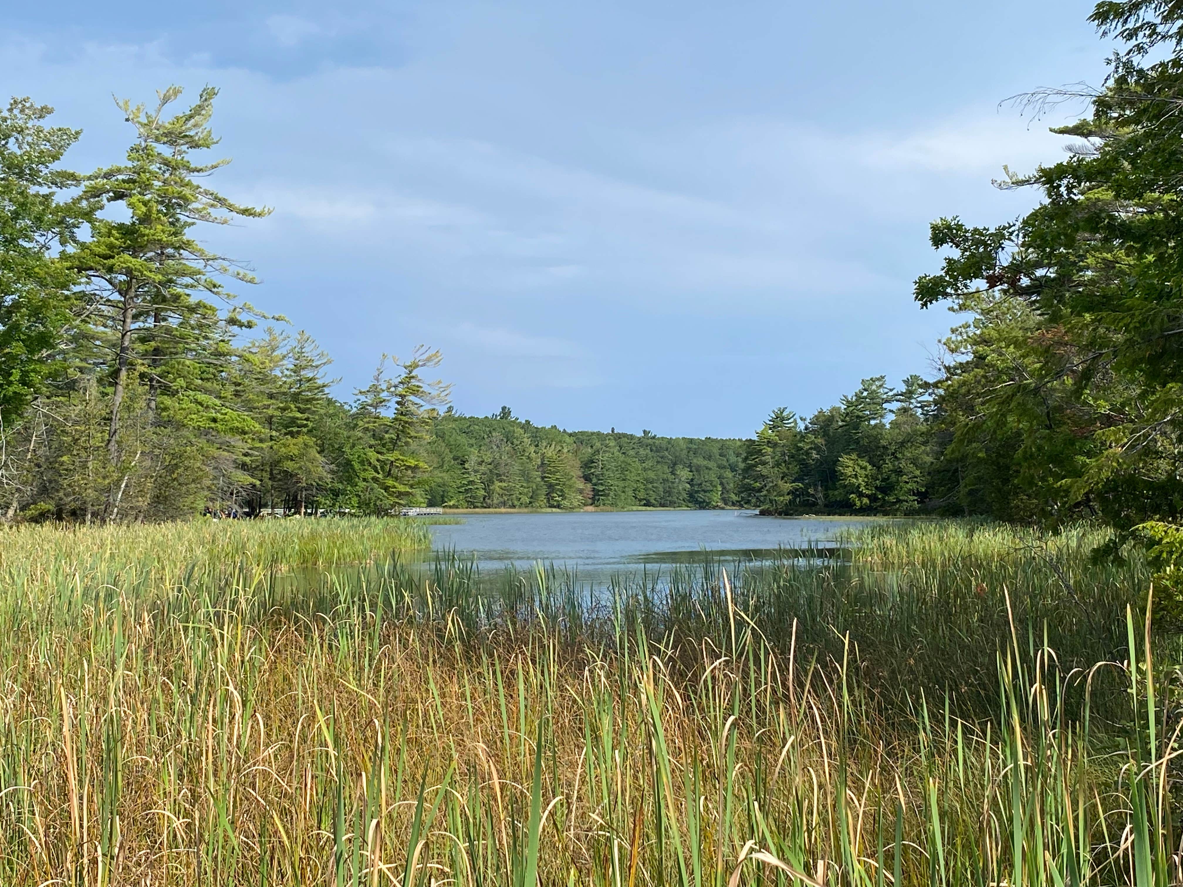 Camper-submitted photo at Muskegon County Pioneer County Park near Twin Lake, MI