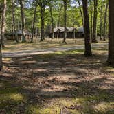 Review photo of Muskegon County Pioneer County Park by Wendy F., August 22, 2024