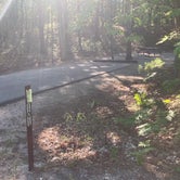 Review photo of Platte River Campground — Sleeping Bear Dunes National Lakeshore by Roger W., October 4, 2023