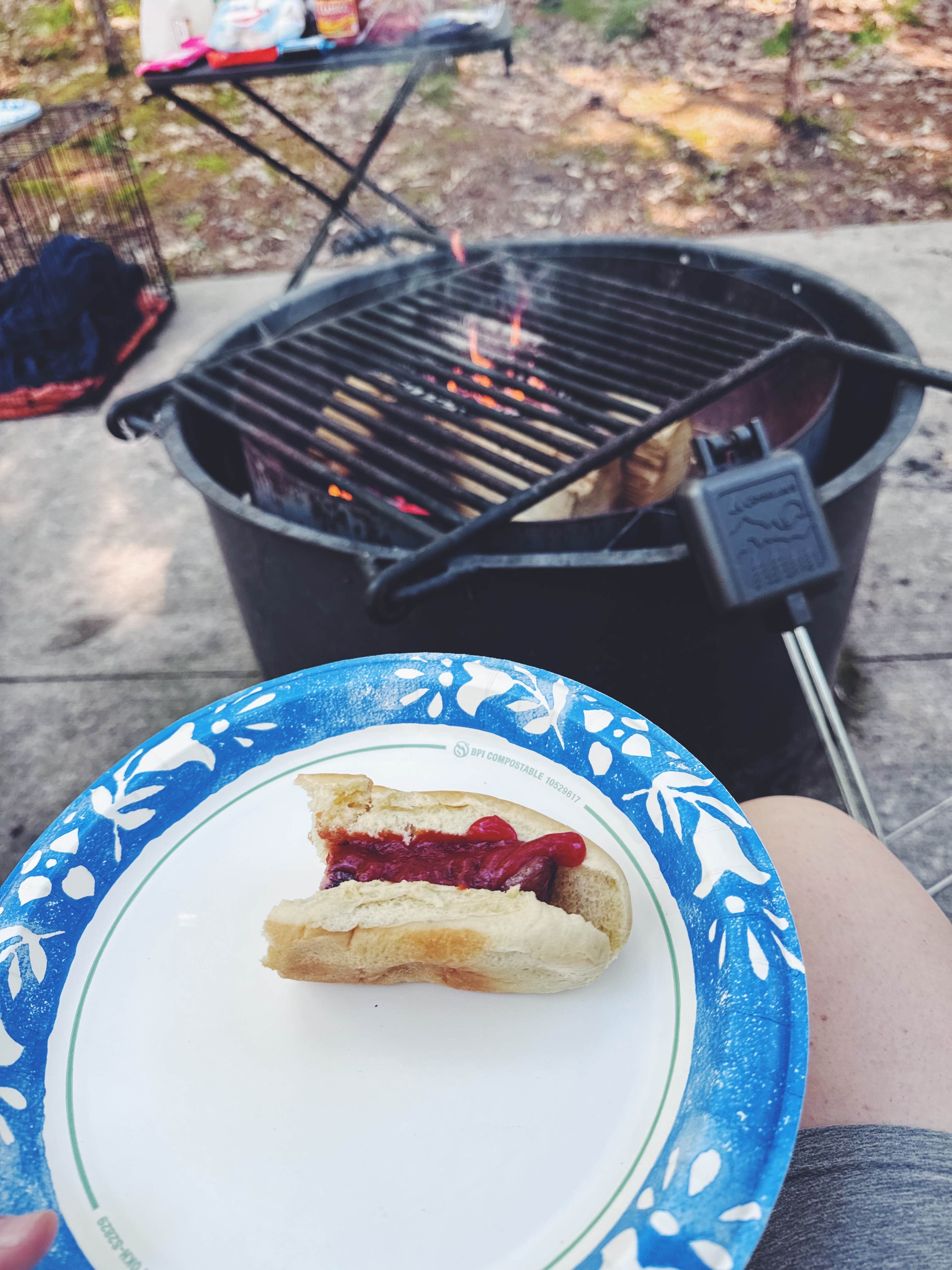 Eva Y.'s photo of camping with pets at Platte River Campground — Sleeping Bear Dunes National Lakeshore near Maple City, MI