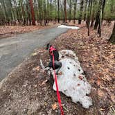 Review photo of Platte River Campground — Sleeping Bear Dunes National Lakeshore by Gerard E., April 20, 2026