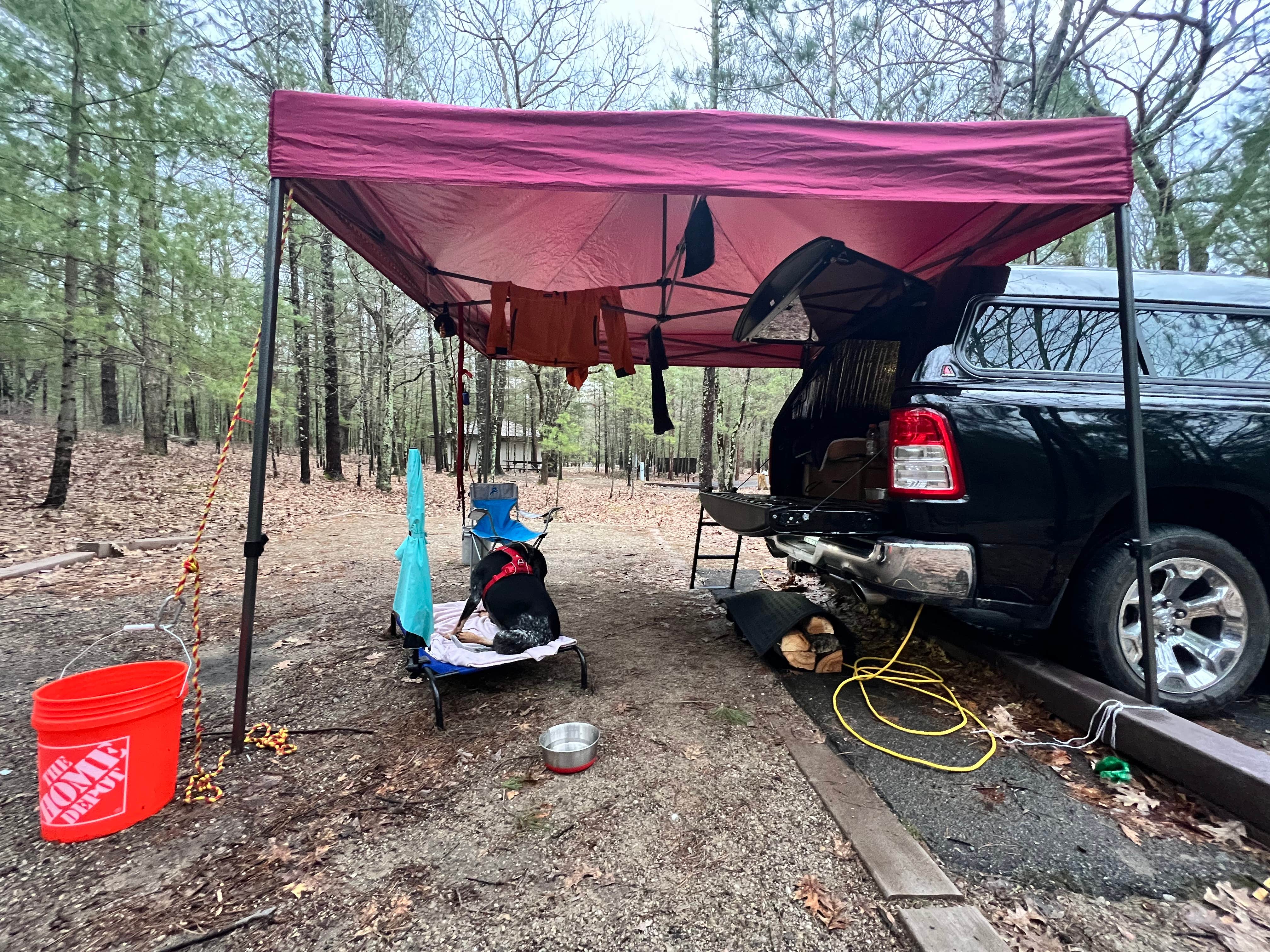 Gerard E.'s photo of camping with pets at Platte River Campground — Sleeping Bear Dunes National Lakeshore near Traverse City, MI