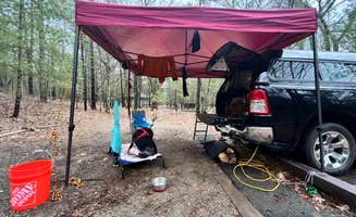 Gerard E.'s photo of camping with pets at Platte River Campground — Sleeping Bear Dunes National Lakeshore near Glen Arbor, MI