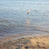 Review photo of Port Crescent State Park Campground by Zim L., June 19, 2025