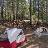 Review photo of Portage Bay State Forest Campground by Jay W., April 12, 2026